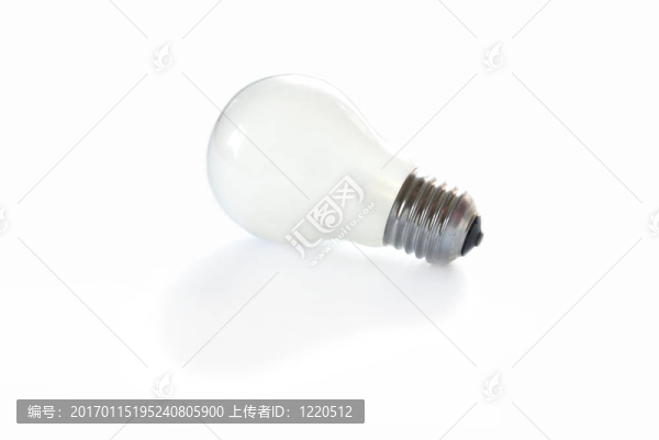 電燈泡