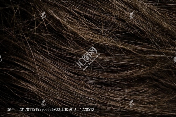 棕色頭發(fā)的特寫(xiě)