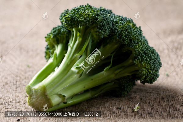 西蘭花