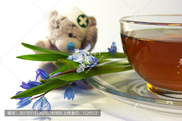 雪花蓮；熊和一杯茶