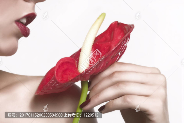 紅色的花和紅色的嘴唇