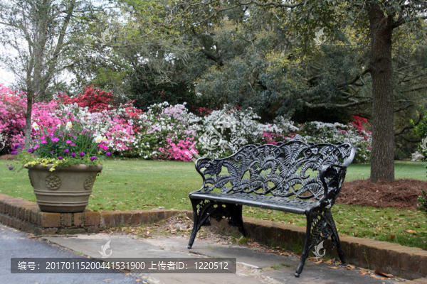 帶鐵板凳的花園
