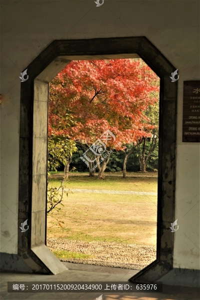 門窗