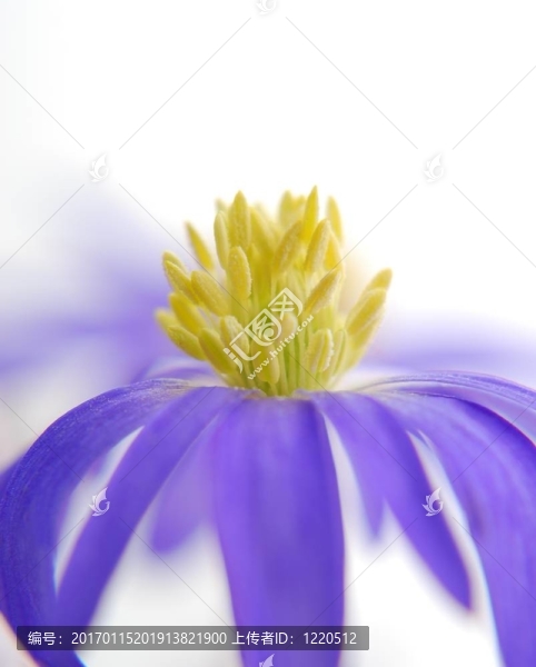 藍色的?？? title=