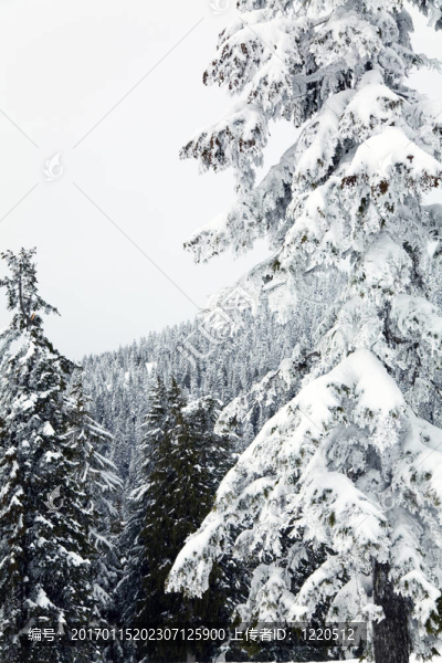雪山