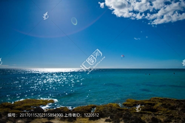 視圖中的海洋
