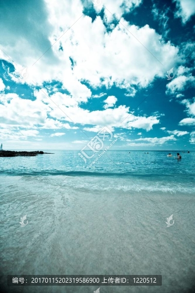 展望海洋FR