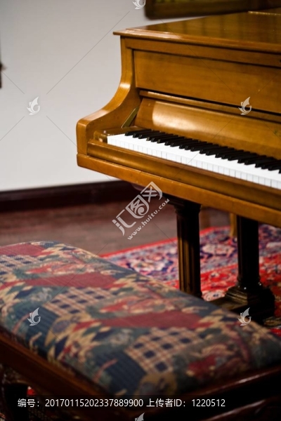 法布里的橡木鋼琴-匯圖網(wǎng) www.fosd68.com 法布里的橡木鋼琴