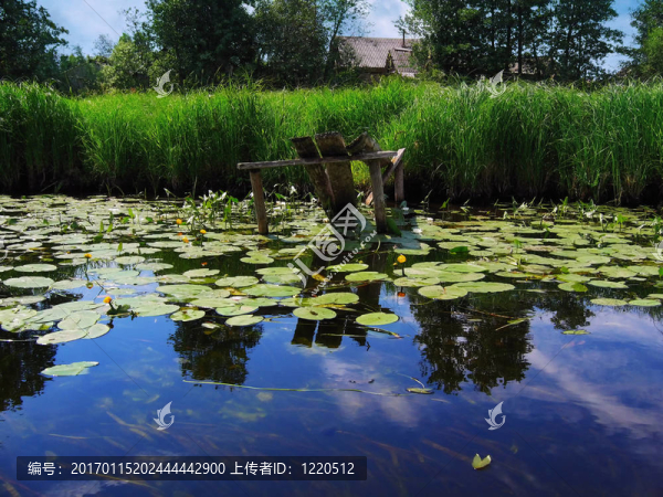 夏天的河