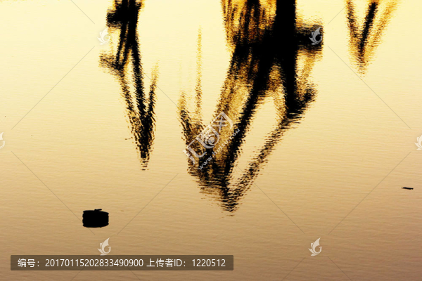 行業(yè)