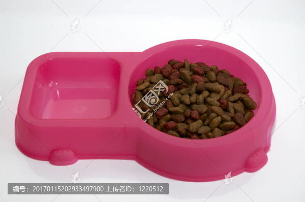 貓的食物