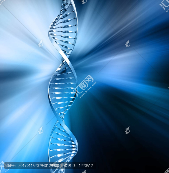 摘要DNA