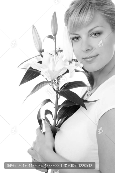女人與madonna,lily