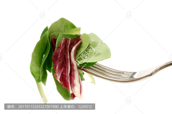 色拉時(shí)間