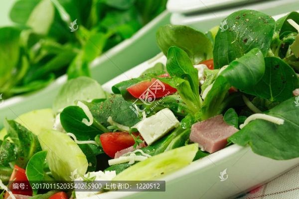 現(xiàn)場沙拉-健康食品