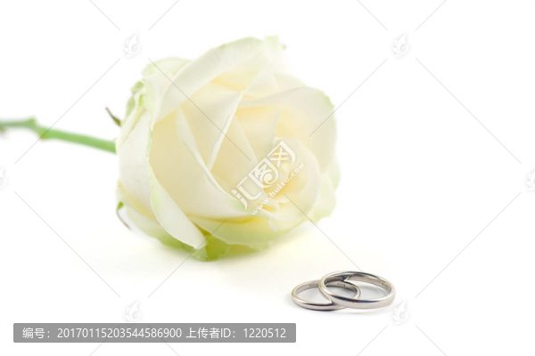 結(jié)婚戒指和一朵玫瑰