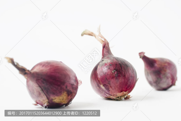 洋蔥
