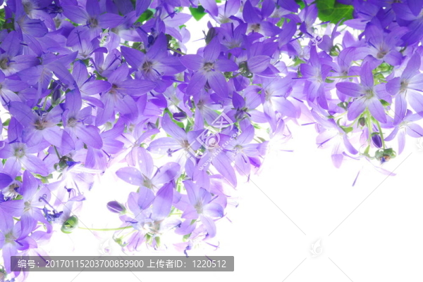 藍(lán)色風(fēng)鈴