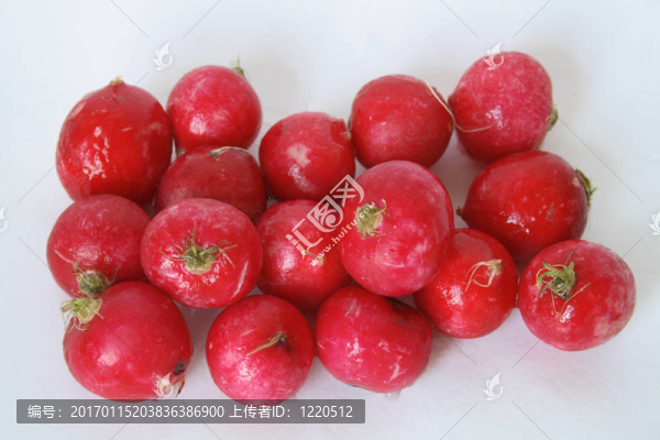 新鮮的蘿卜