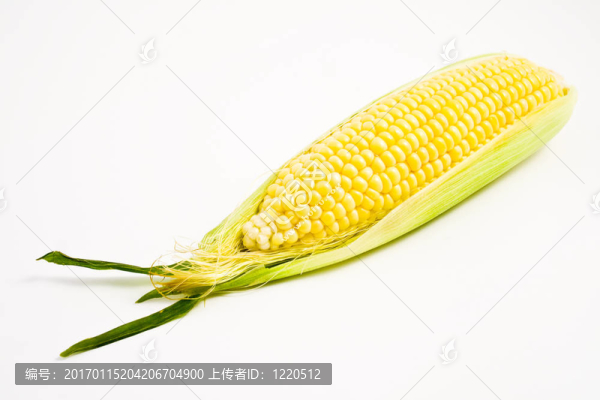 玉米