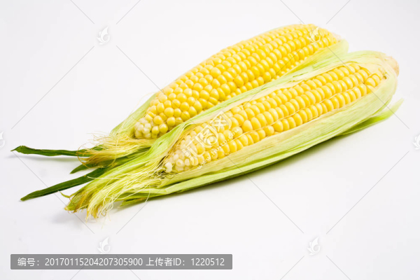 玉米
