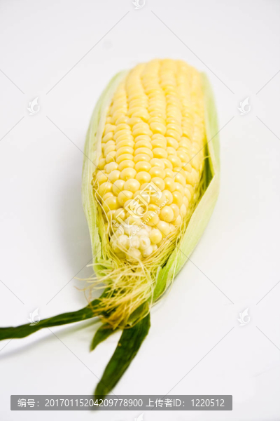 玉米