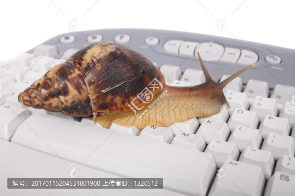 蝸牛