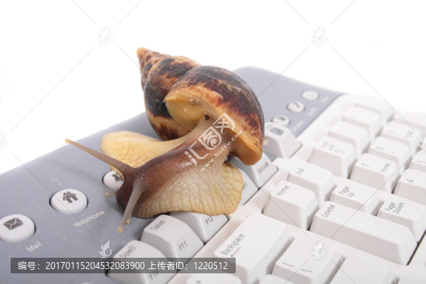 蝸牛