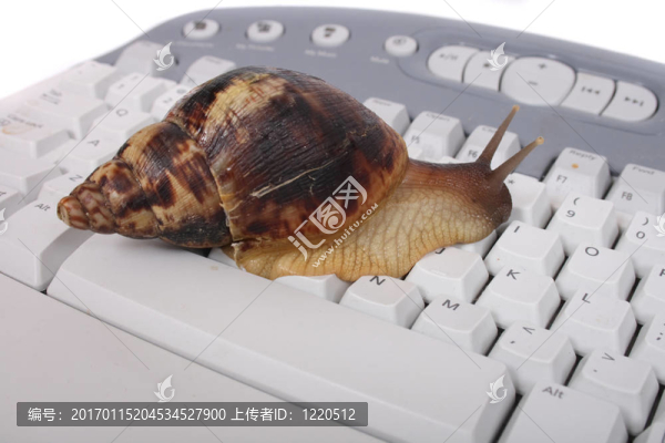 蝸牛