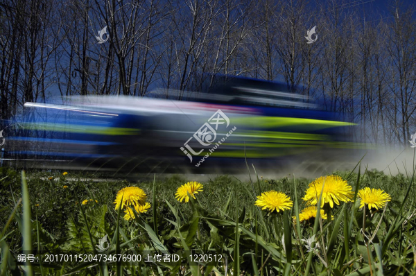 藍色的拉力賽車