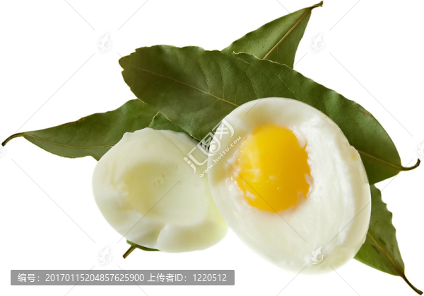 EgG5
