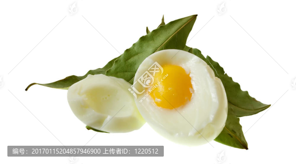 egg3