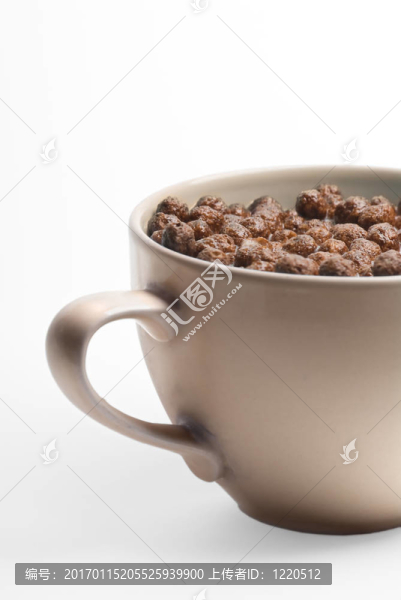 巧克力片