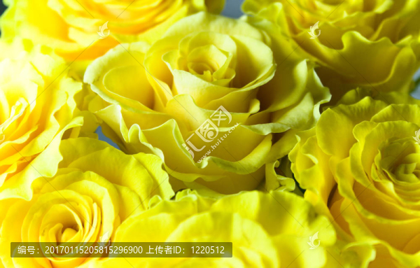 黃色的花束