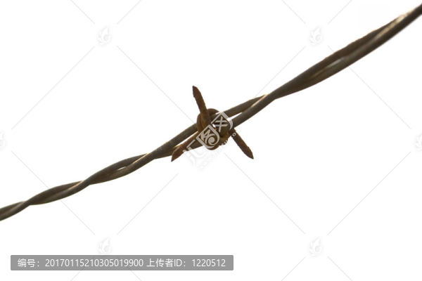 鐵絲網(wǎng)