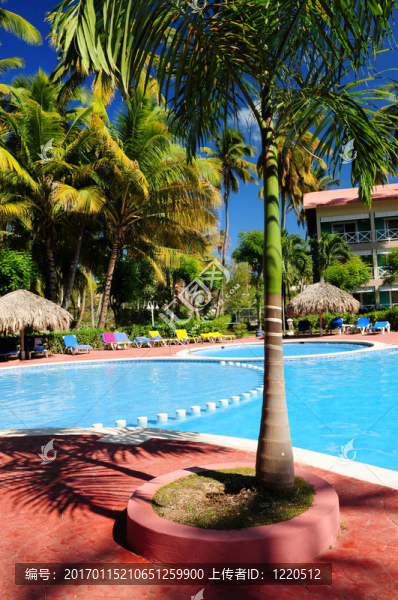 熱帶度假村游泳池酒店