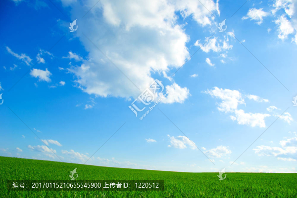 景觀