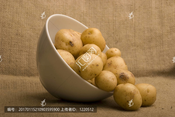 口袋里的同伴土豆碗