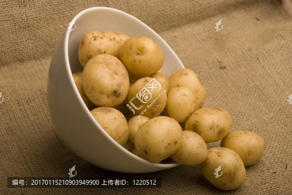 口袋里的同伴土豆碗