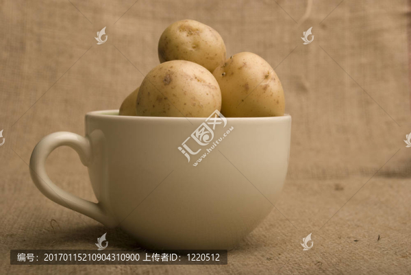 口袋里的同伴土豆碗