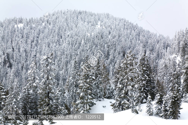 雪山