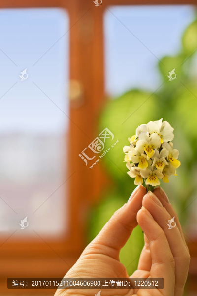 春天的野花花束的女人的手-匯圖網(wǎng) www.fosd68.com 春天的野花花束的女人的手