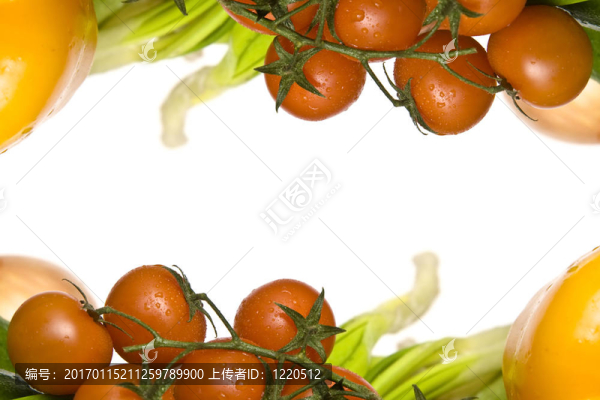 蔬菜-匯圖網(wǎng) www.fosd68.com 蔬菜