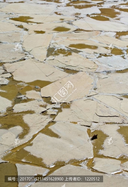 一個(gè)破碎的水泥特寫(xiě)