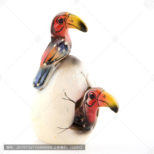 出生的鳥