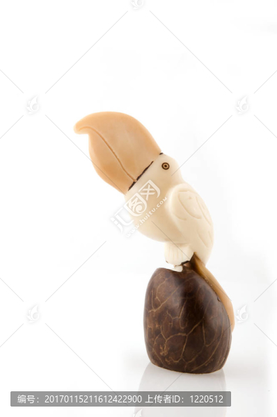 巨嘴鳥從象牙