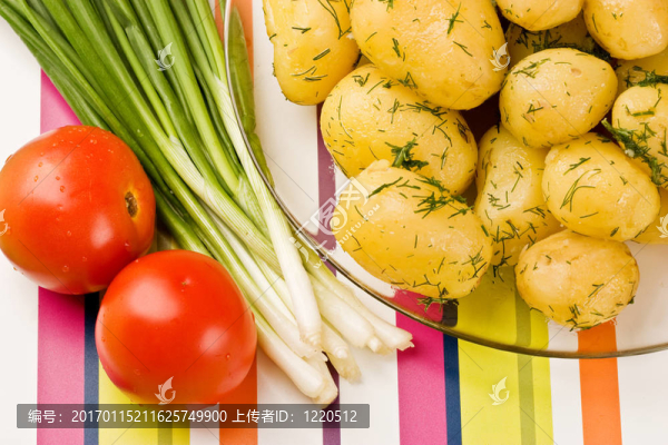 素食食品