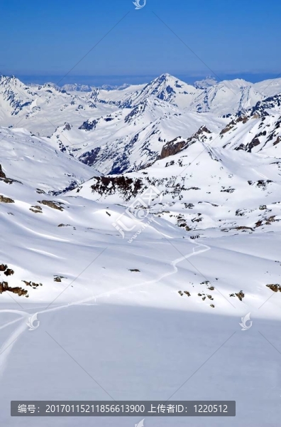 山