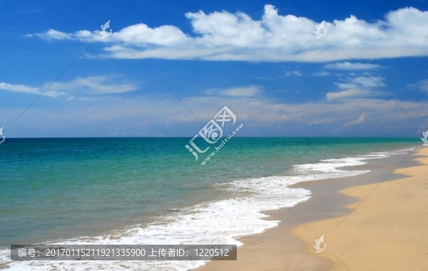 在熱帶的加勒比海灘粉飾