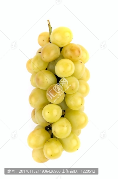 白葡萄